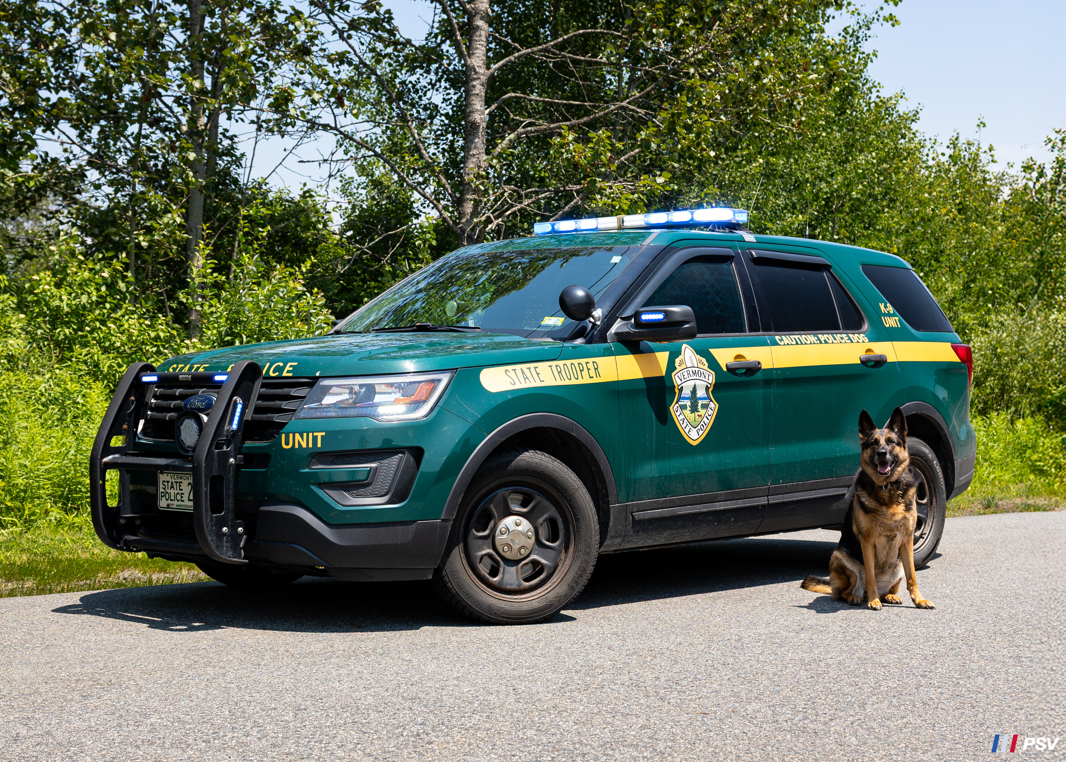 A photo  of Vermont State Police
            K-9 Unit, a 2016-2019 Ford Police Interceptor Utility             taken by Kieran Egan