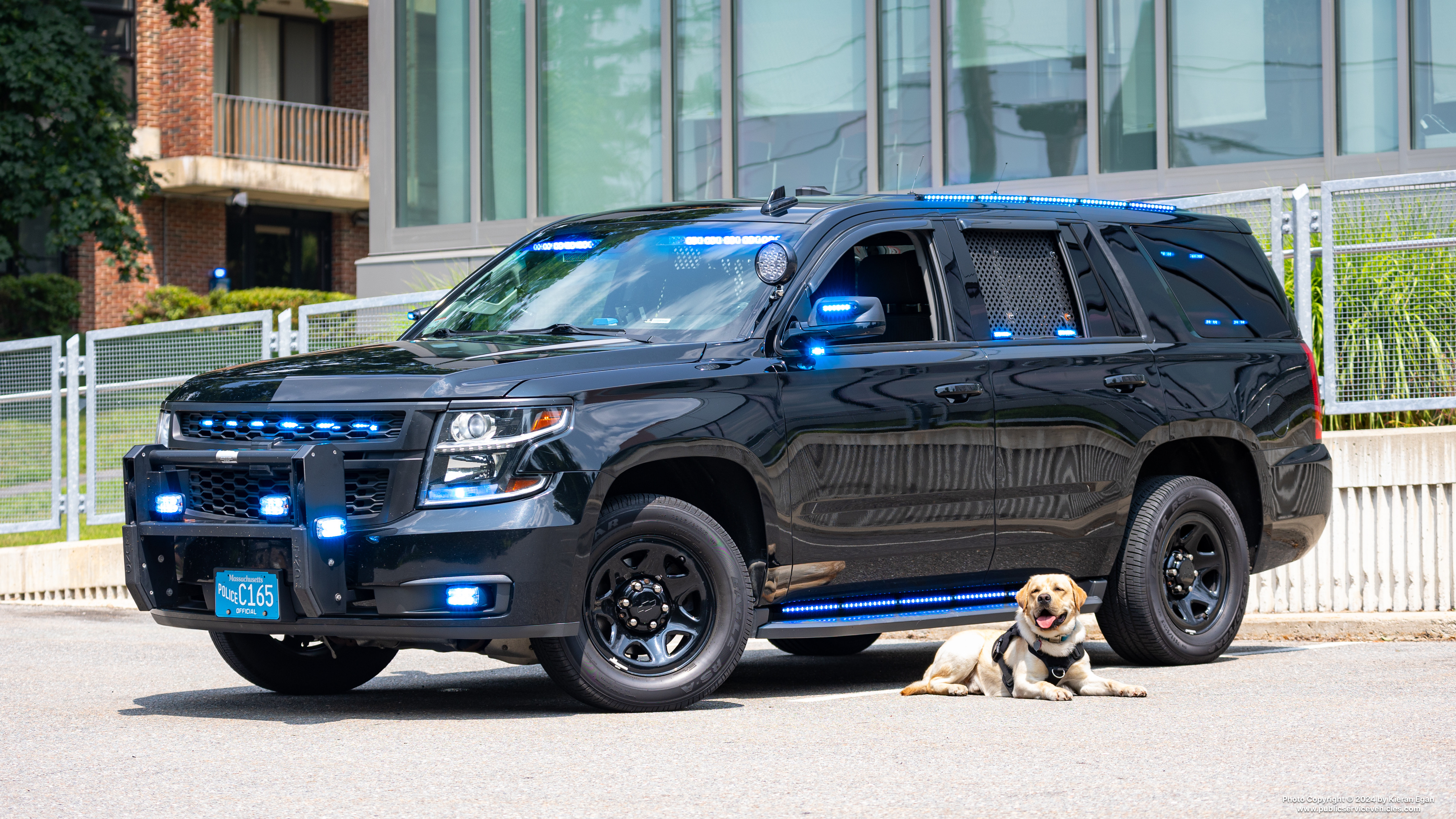 A photo  of Framingham State University Police
            K-9 Unit, a 2018 Chevrolet Tahoe PPV             taken by Kieran Egan