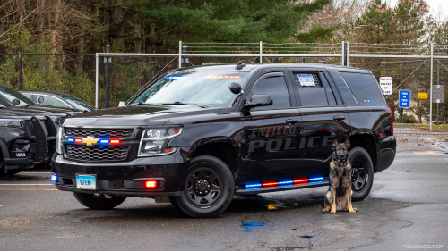 Additional photo  of Enfield Police
                    K-9 Unit, a 2015-2019 Chevrolet Tahoe                     taken by Kieran Egan
