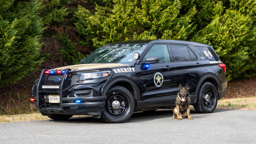 Additional photo  of Culpeper County Sheriff
                    Cruiser 21-21, a 2021 Ford Police Interceptor Utility                     taken by Kieran Egan
