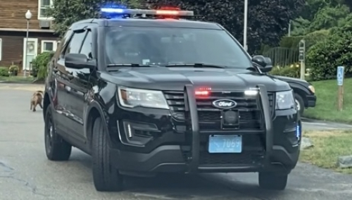 Additional photo  of Warwick Police
                    Cruiser P-5, a 2019 Ford Police Interceptor Utility                     taken by @riemergencyvehicles