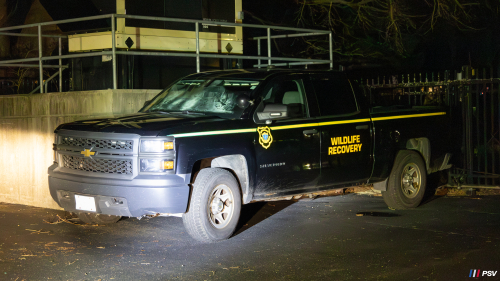 Additional photo  of 
                    , a                      taken by Kieran Egan