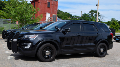 Additional photo  of Blackstone Police
                    B-5, a 2016-2019 Ford Police Interceptor Utility/Setina Push Bumper                     taken by Jamian Malo