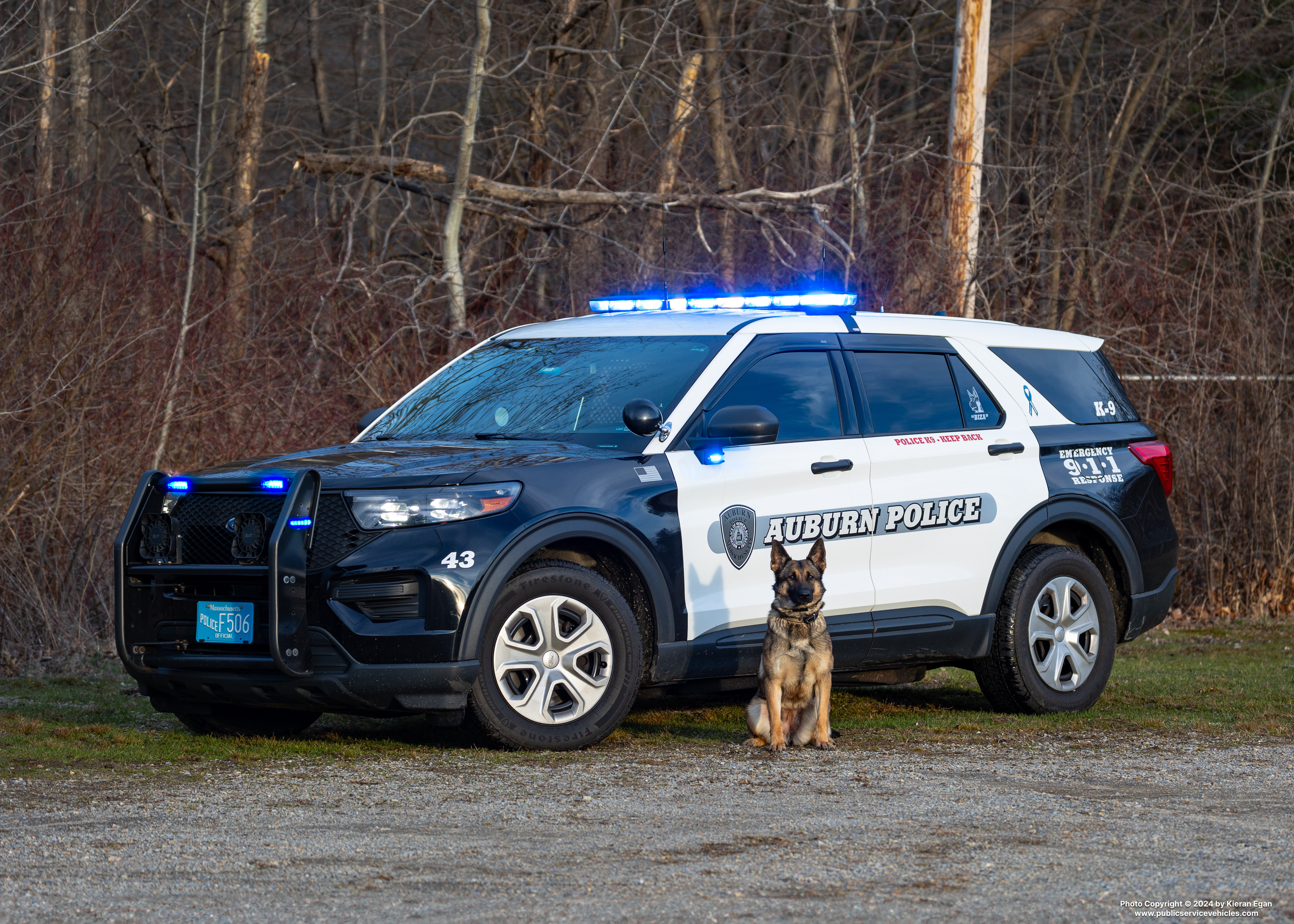 A photo  of Auburn Police
            Car 43, a 2020 Ford Police Interceptor Utility             taken by Kieran Egan