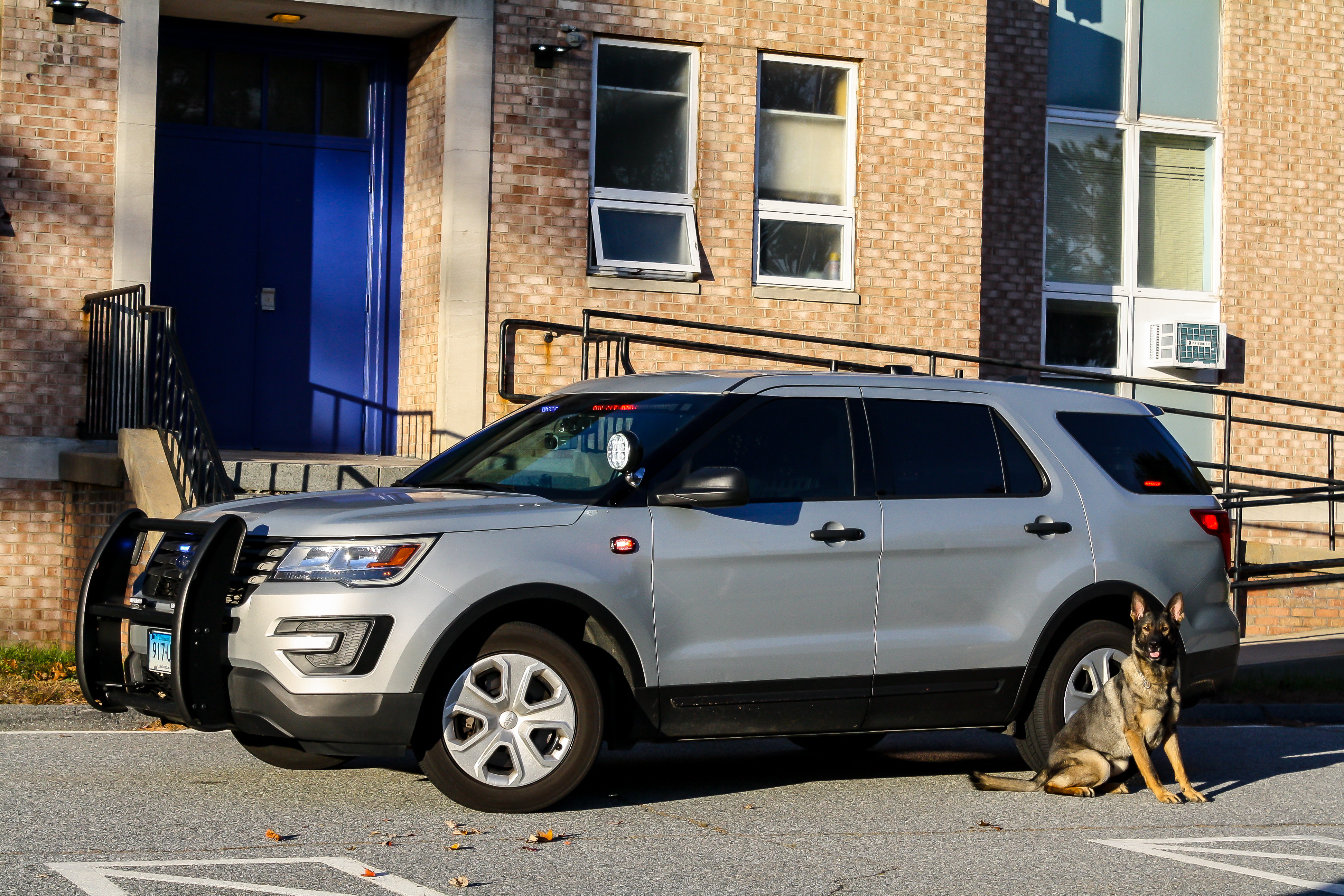 A photo  of Connecticut State Police
            Cruiser 917, a 2016-2019 Ford Police Interceptor Utility             taken by Luke Tougas