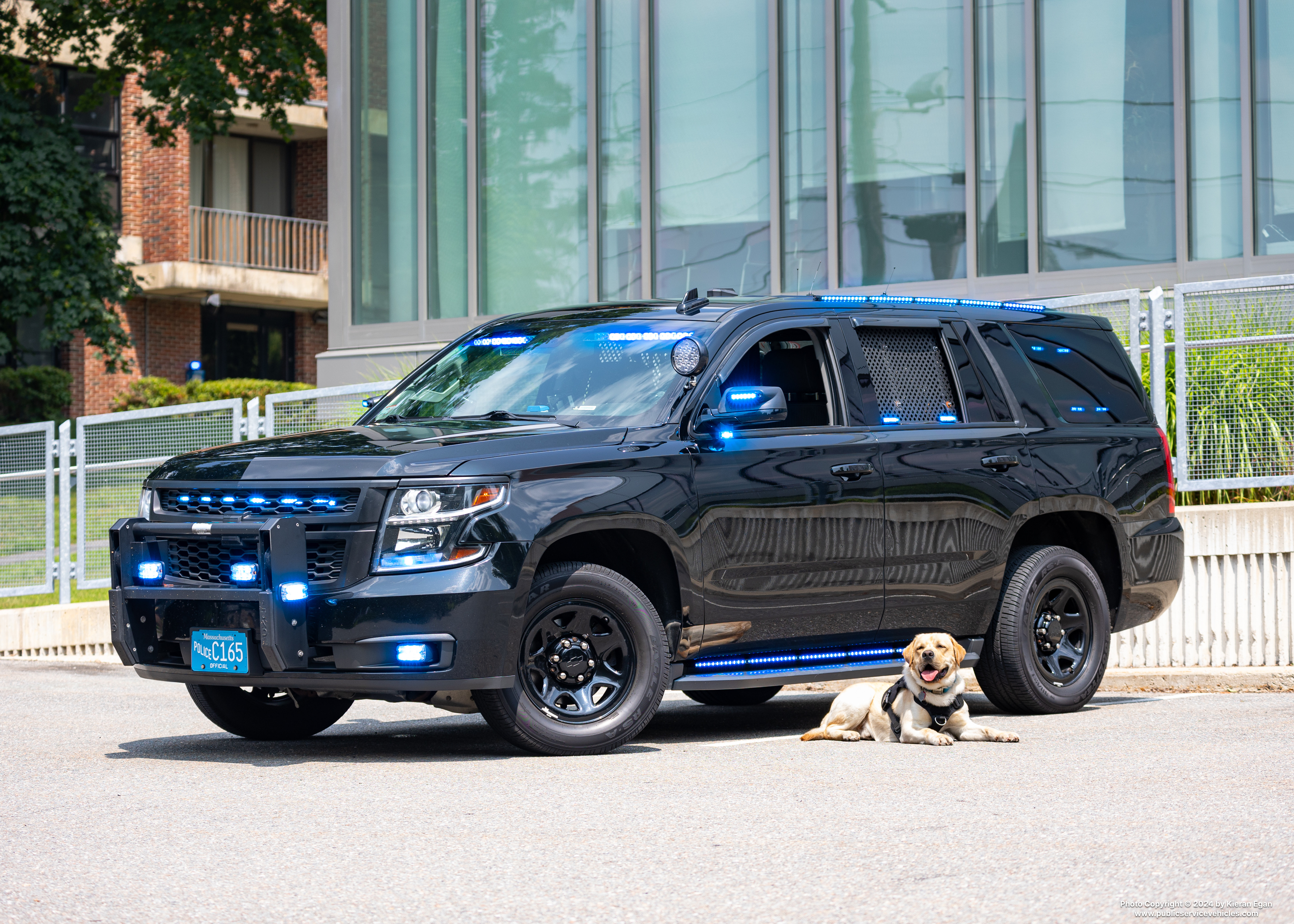 A photo  of Framingham State University Police
            K-9 Unit, a 2018 Chevrolet Tahoe PPV             taken by Kieran Egan