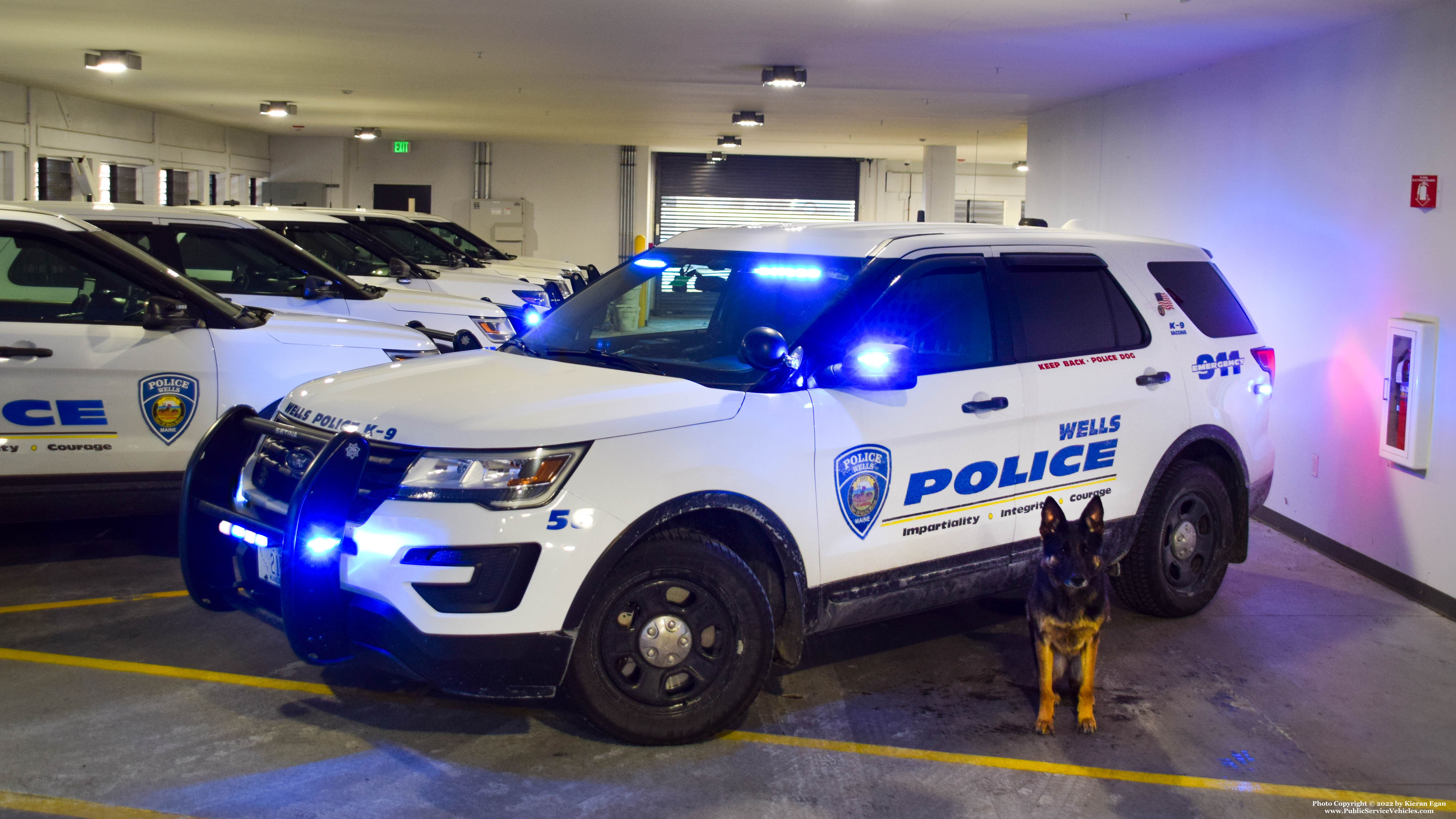 A photo  of Wells Police
            Car 56, a 2016-2019 Ford Police Interceptor Utility             taken by Kieran Egan