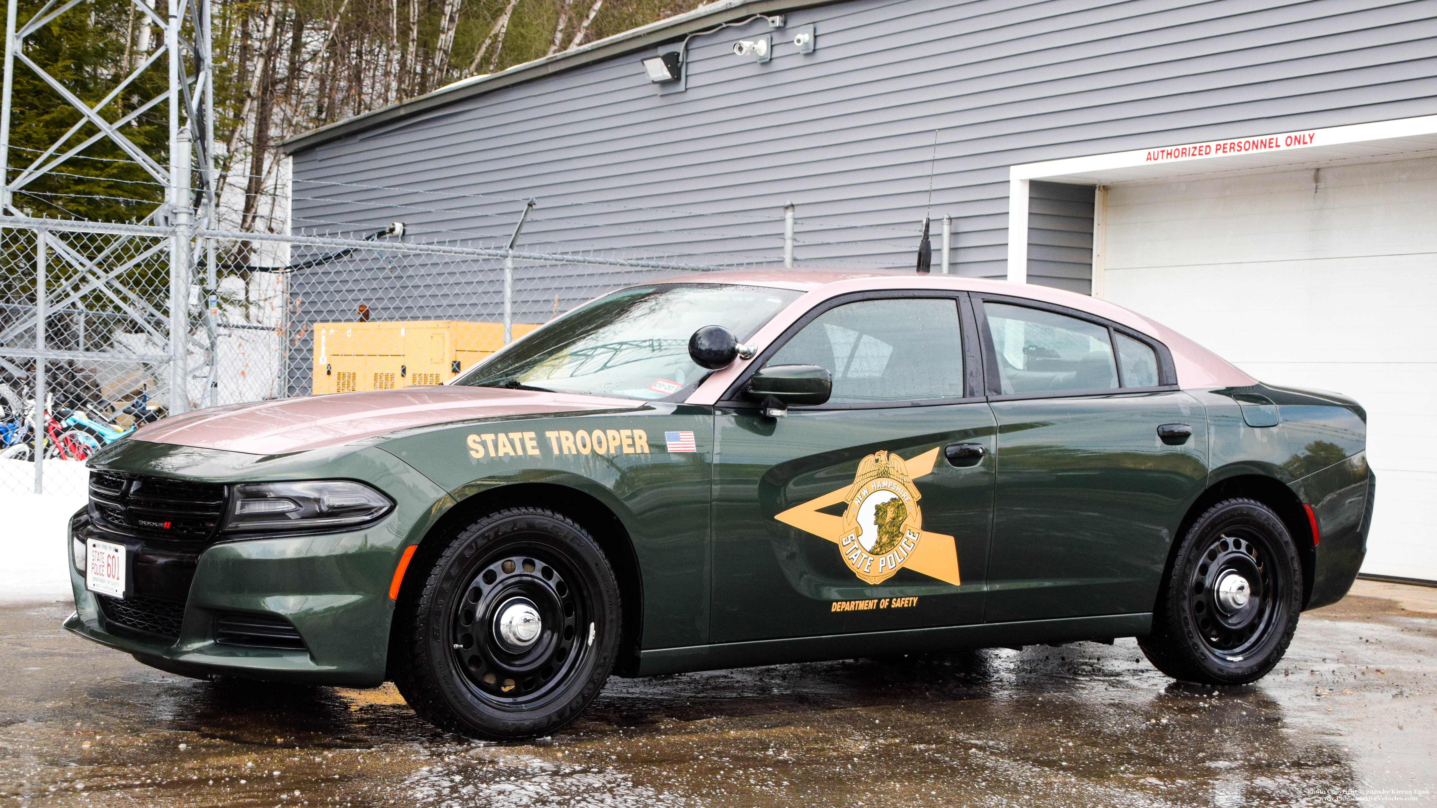 A photo  of New Hampshire State Police
            Cruiser 601, a 2017 Dodge Charger             taken by Kieran Egan
