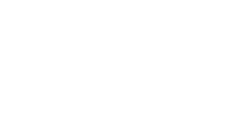 PSV Logo